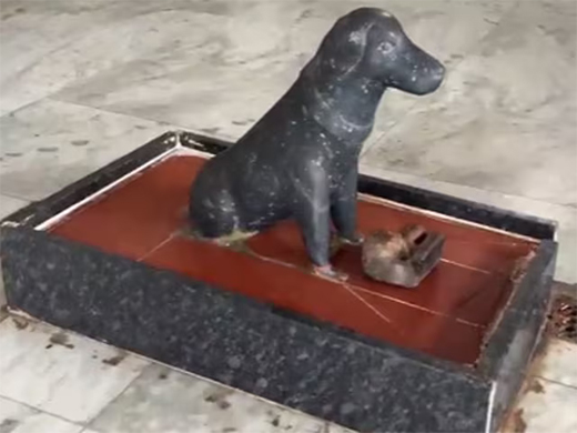 Dog temple in UP